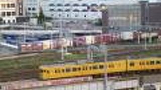 なかなかお目にかかれない光景です