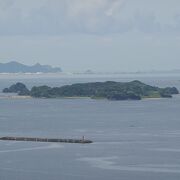 住民の数と同じくらい多くのネコが暮らす島