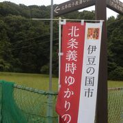 伊豆の国大河ドラマ館周辺の北条氏ゆかりの地を巡った際、ココにも寄ってみました。