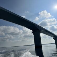 スキューバダイビングでくぐる