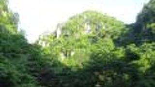 今回は深耶馬溪を訪れました。