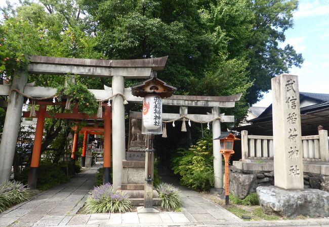 見どころの多い武信稲荷神社