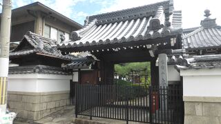 フェンス越しにお庭を拝見