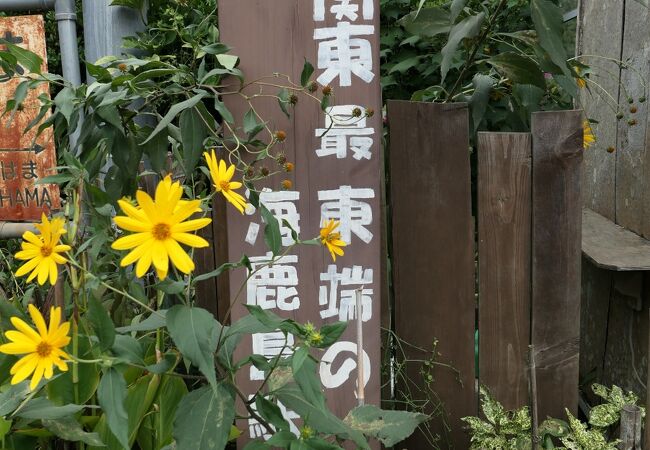 海鹿島駅