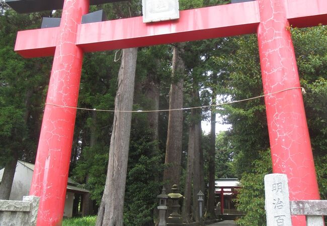 赤い鳥居です