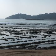 珍しい風景で、青島周辺と道の駅フェニックス近くで見られました
