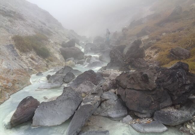 湧き出る温泉を堪能できる山