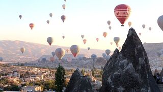 ツアーでなくても、十分楽しめました。