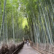 嵐山の絶景スポット