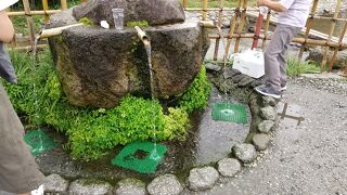 白州の水をいただこう