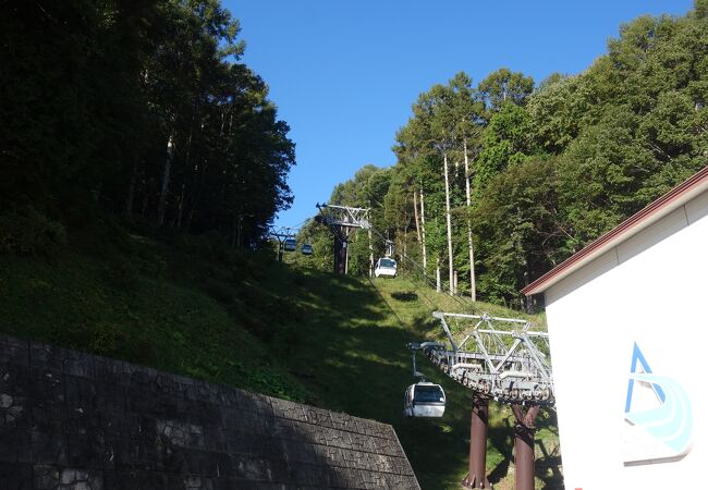 日の出前から営業。山の上から雲海が見れます（運がよければ）。