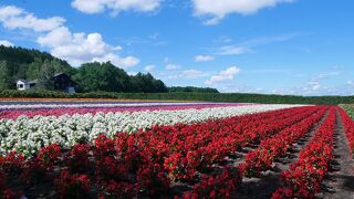 入場無料は太っ腹