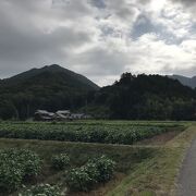 黒田城跡（兵庫県西脇）：黒田官兵衛の黒田氏の居城跡