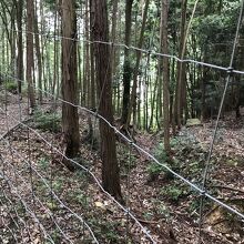 堀切跡の様な溝