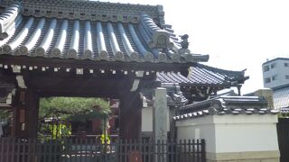 きれいに手入れされた松が印象的