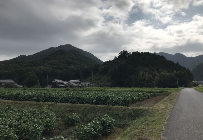 黒田城跡 (黒田庄町黒田)