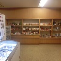 売店、20時まで開いているそうです。