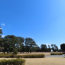 公園の花壇