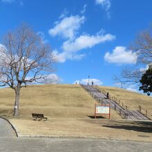 公園の小高い山