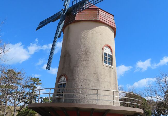 海浜公園の小高い山に登りました。