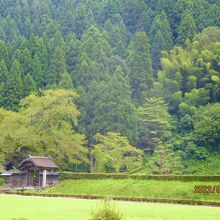 唐門の中が朝倉氏の館の跡