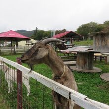 館内