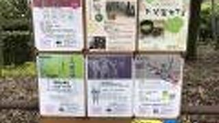 イベントは多い