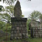 中島公園菖蒲池そば