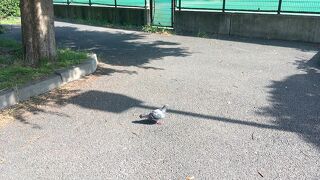 三角形の敷地にある公園