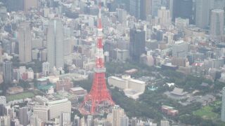 都心ルートの飛行機から良く見えました