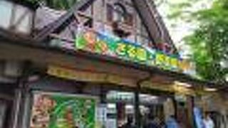 高尾山で人気の観光スポット