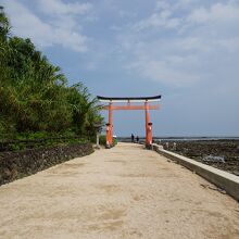青島神社が島の中央に鎮座しています