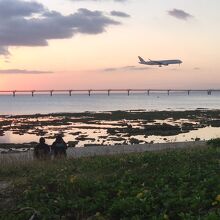 夕日と飛行機と