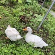 ふつうの動物園じゃ物足りない方へおすすめ