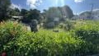 意外と低い石！