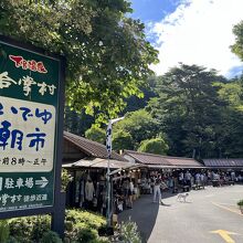 朝市に並ぶお店