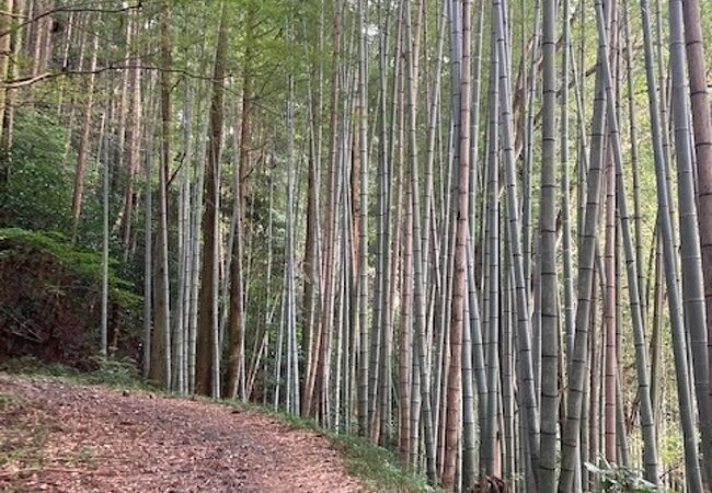 古代よりさまざまな文献で伝えられている心細さはやはりここが一番です。