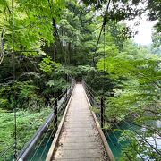 多摩川にかかるつり橋