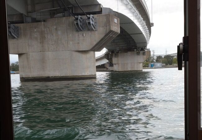 見上げて立派さを感じる