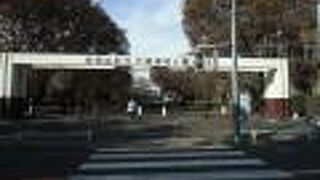 運動施設も子どもたちの遊び場も充実