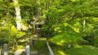 本堂でお寺のあらましを、説明してくれました