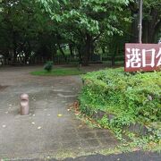 松林のある整備された公園