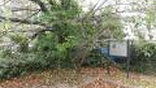 江戸時代の歌舞伎役者が住んでいた旧跡