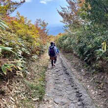 中央コースは整備された道が中腹まで続く