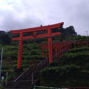 由緒のある神社で赤い鳥居が並ぶ参道からも景色がきれいです。