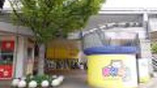 若い人の姿がたくさんありました