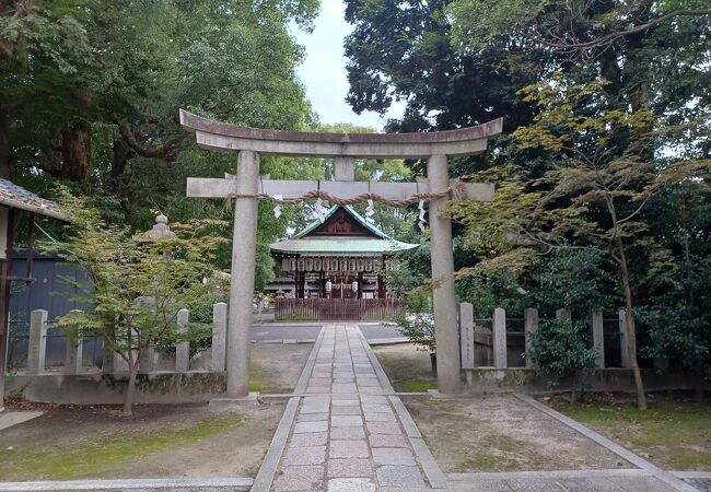 落ち着いた静かな神社です