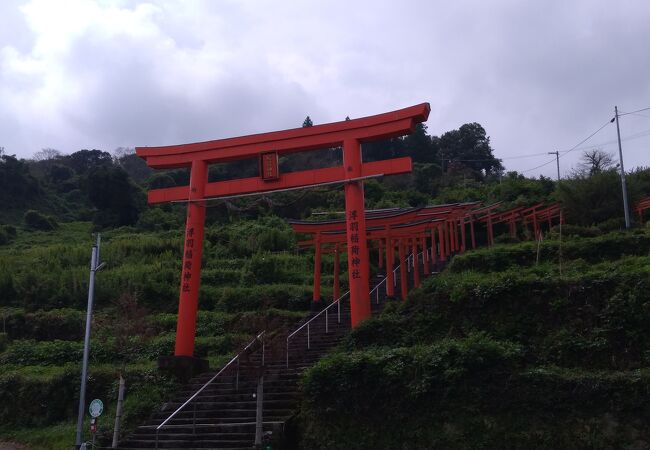 由緒のある神社で赤い鳥居が並ぶ参道からも景色がきれいです。