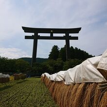 こう言うの最近珍しい