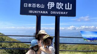 孫の名前と同じなので...